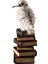 Kitap Yığını Üzerindeki Sihirli Değnekli Hedwig Kar Baykuşu Biblosu / Küçük Boy 3