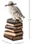 Kitap Yığını Üzerindeki Sihirli Değnekli Hedwig Kar Baykuşu Biblosu / Küçük Boy 5