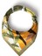 Tropikal Kadın Desenli Bandana Fular 4