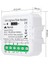 Mini Zigbee Iki Çıkışlı Anahtar (Tuya, Smart Life, Home Assistant, ZIGBEE2MQTT Uyumlu) 2