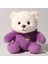 Şapkalı Peluş Ayıcık | Yumuşacık Oyun ve Uyku Arkadaşı, 35 Cm, Mor Renk | Çocuklar Için Doğum Günü Hediyesi | Ce Sertifikalı | Dinazor Kıyafeti Giyen Pufi Ayıcık 2
