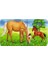 Puzzle 9x2 Hayvanlar My First Puzzles Renkli 1+ 5