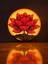 Dekoratif Lotus Çiçeği Tasarımlı LED Gece Lambası 2