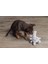 Nrtmsa Beeztees Yavru Köpek Oyuncağı, Tavşan, Peluş, Gri, 15X9X4CM 2
