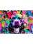 Dinamik Pitbull Portresi Pop Art Kanvas Tablo 2