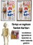 Eğitici Oyuncak Insan Vücudu Anatomisi Organ Bulmaca Puzzle Bultak Yapboz 3D Model 2