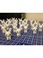 Mini Tavşan Dekor Seti – 10'lu (3 cm • Beyaz) 1