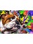 Renkli Bulldog Portresi Pop Art Tabloları Kanvas Tablo 2