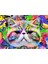 Renkli Kedi Portresi Pop Art Tabloları Kanvas Tablo 2