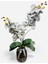 Cam Vazoda Gri Orkide Yapay Çiçek Aranjmanı (12X60 Cm) Modern Dekoratif Masaüstü 1