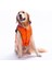 Turuncu Elgin Paws Ekose Desen Yelek Büyük Irk Köpek Yeleği Köpek Kıyafeti Köpek Yağmurluk 2