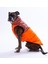 Turuncu Elgin Paws Ekose Desen Yelek Büyük Irk Köpek Yeleği Köpek Kıyafeti Köpek Yağmurluk 5