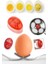 Değiştiren Yumurta Zamanlayıcı Yumurta Haşlama Derecesi Dublör Yumurta Pişirme Aleti Egg Timer 1