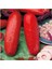 Ithal Kırmızı Salatalık Tohumu 10 Adet Tohum Red Cucumber 2