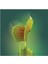 Look Venus Fly Trap Tohumu 5 Adet Tohum Etçil Bitki Etobur Bitki Sinek Kapan TH-8777963100152 2