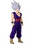 30 cm Dragon Ball Sınır Tanımaz Serisi Figürleri, Son Gohan Beast 3