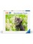 500P Puzzle Kedi Foto, Yapboz 1