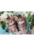 60 El. Super Kolor Lovely Kitty Twins [puzzle] 2