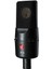 Se Electronıcs X1 Condenser Mikrofon 2