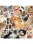 Major Selection 100'LI Çılgın Kedi Sticker Set Laptop Notebook Tablet Sticker Seti 1
