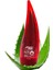 Plus Aloe Vera Selülit Karşıtı Inceltici Jel 250 ml 1