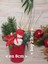 Kırmızı Noel Aranjmanı, Şık ve Özel Hediye Seçeneği 2