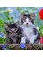- 3 x 49 Parça Puzzle Tiger Babies (80465) 3