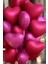 Mat Kırmızı Kalp Folyo Balon 5 Adet 45CM 4