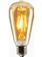 Tipi Edison Model Filament Tasarruflu ST64 LED Rustik Dekoratif Ampul Vintage Aydınlatma (1, 4 Watt ST64) 2