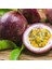 Tüplü Passion Fruit -Tutku-Aşk Meyvesi Fidanı 2