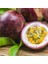 Tüplü Passion Fruit -Tutku-Aşk Meyvesi Fidanı 3