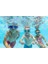 Aquapals Çocuk 3+ Gözlükleri 2