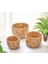 3'lü El Yapımı Doğal Hasır Yuvarlak Saksı Seti, Hasır El Yapımı Yuvarlak Örgü Saksı 3'lü Set, Rattan Saksı Seti, (22CM*15CM-18CM*13CM-14CM*11CM) 5