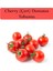 Organik Çeri Domates Tohumu 1 Paket (1GR=250+ Adet) Cherry Domates Salkım Domates Tohumu 1
