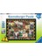 Puzzle 100 Parça Dinosaurs Renkli 6+ 1