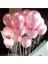 Party Store Pembe Metalik Latex Balon 10 Adet 1