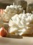 Candle Yapımı Kokusuz Açmış Şakayik Gül Dekoratif Kalıp Mum– Kırık Beyaz -7 cm 4