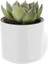 2 Adet Mimoza Saksı Küçük Boy Plastik Kaktüs Sukulent Saksısı (Beyaz, 0.2 Litre) 4