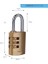 Y150B/30/125/1 Şifreli Pirinç Asma Kilit, Standart Koruma, Çelik Halka, 3 Haneli Şifre, Sarı 3