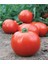 Tarım Ata Tohumu Yerli Iri Domates 100 Adet Tohum 1