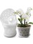 Orkide Saksıları - 7 Inç - 5 Saksı ve Tabak, Delikli Orkide Saksıları ve Yeniden Saksılama Için Şeffaf Plastik Orkide Saksıları (Yurt Dışından) 5