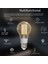 Tuya Zigbee Akıllı Filament Ampul 7 W LED Işık Lamba E27 Kısılabilir Aydınlatma 806LM Cct Akıllı Kısılabilir Kapalı Dekoratif Işık (Yurt Dışından) 5