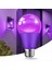 2 Adet LED Mor Ampul 9W E27 Taban Parti ve Ev Dekorasyonu Için Kısılabilir Olmayan Ampul Aydınlatma (Yurt Dışından) 5