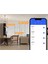 Alexa Google Home 3&#39 Lü Tuya Wifi Işık Anahtarı Uygulaması Uzaktan Kumandası (Yurt Dışından) 5