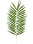 Yapay Palmiye Dalı - 54 cm 1