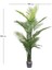 Yapay Palmiye Ağacı, Dış Mekan - Uv Korumalı, 24 Yaprak, 180 cm 3