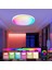 LED Tavan Lambası Kısılabilir Tuya Uygulamasına Uygulanabilir 24W Rgb Renk Değiştirme Oturma Odası Yatak Odası Için Akıllı LED Tavan Işık (Yurt Dışından) 2