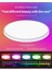 LED Tavan Lambası Kısılabilir Tuya Uygulamasına Uygulanabilir 24W Rgb Renk Değiştirme Oturma Odası Yatak Odası Için Akıllı LED Tavan Işık (Yurt Dışından) 5