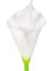 Yapay Calla Tek Dal Beyaz 35 Cm. 2