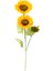 Yapay Ayçiçeği, Sarı-Yeşil - 3 Çiçekli, 20X90 cm 1